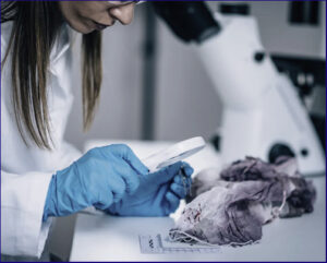 Agricultural Science