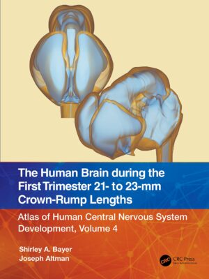 The Human Brain During The First Trimester 21- To 23-mm Crown-rump Lengths Atlas Of Human Central Nervous System Development, Volume 4