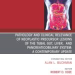 Pathology and Clinical Relevance of Neoplastic Precursor Lesions of the Tubal Gut, Liver, and Pancreaticobiliary System: A Contemporary Update