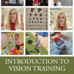 Introduction To Vision Training