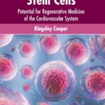 Stem Cells: Potential For Regenerative Medicine Of The Cardiovascular System